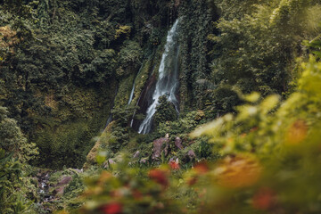 A waterfall in a green forest