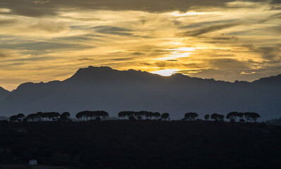 Fototapeta na wymiar Sunset in Sierra de Grazalema natural park, Cadiz province, Andalusia, Spain.