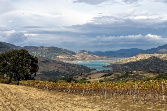 Landscape of Sierra de Grazalema natural park, Cadiz province, Andalusia, Spain.