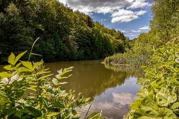 entlang eines Weges durch eine Klamm in den Sauerländer Wäldern