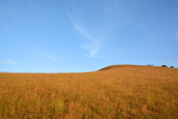 mountains brown grass and blue sky landscape