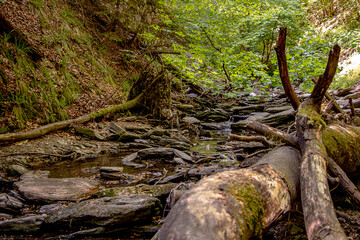 entlang eines Weges durch eine Klamm in den Sauerländer Wäldern