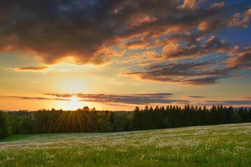 Beautiful sunset above forest and blooming summer meadow. Evening landscape