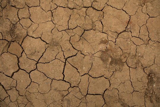 Susza , sucha spękana ziemia 