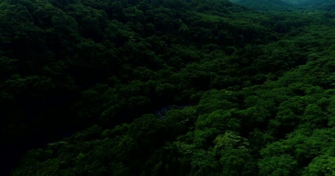 Aerial : High peak mountains and deep green forest