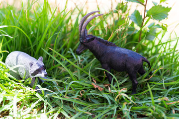 animal toys in green grass