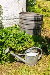 vintage watering can next to a rainwater collection container in a garden in Switzerland