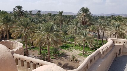 hammock on the beach