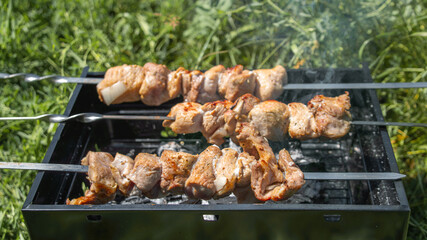 shashlyk coal fried meat on sticks