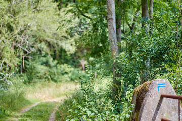 Balisage d'un chemin de randonnée sur une pierre