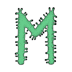 Letter M. Coronavirus font. vector quarantine alphabet. health and medical vector letters. vector illustration. Viral alphabet. Letters in the form of bacteria. They're going against a white