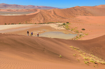 Fototapeta na wymiar People walking on beautiful dune of Namib desert, traveling and hiking in South Africa 