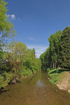 Bach