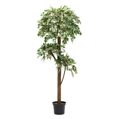 Artificial ficus bendjamina tree like real as modern evergreen ecological decoration for interiors...
