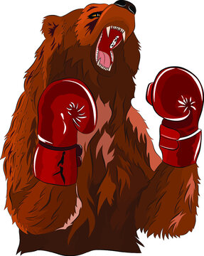 brown bear in red bokserskij gloves