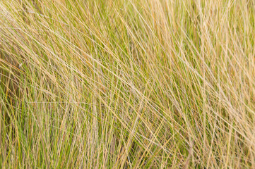 textura naturaleza color paz tranquilidad fondo de pantalla