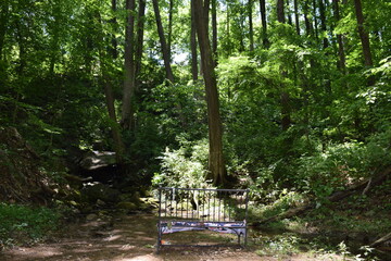 An abandoned bench in the middle of the woods