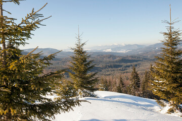 skiing in the mountains