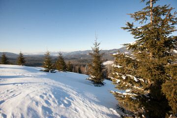 skiing in the mountains