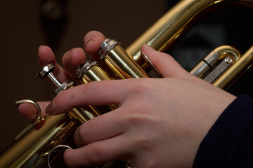Obraz premium hands of a flugelhorn player