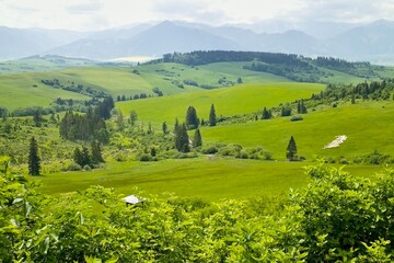 Beautiful surrounding nature near the Pastierska mountain hut in the Bobrovecka valley in Liptov.