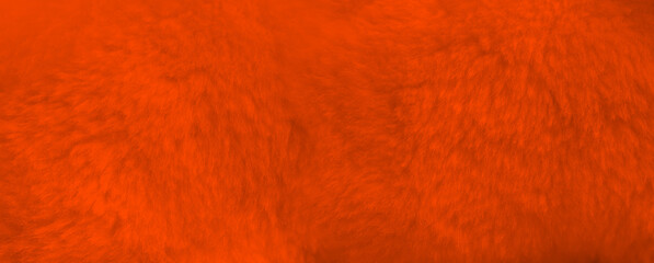 Orange fur background close up view. Banner