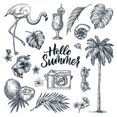 Hello summer hand drawn calligraphy lettering and tropical design elements set. Vector sketch illustration