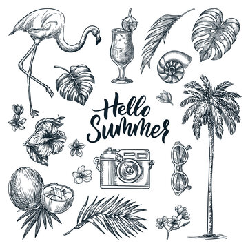 Hello Summer Hand Drawn Calligraphy Lettering And Tropical Design Elements Set. Vector Sketch Illustration