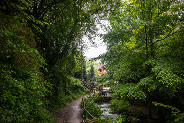 Fototapeta premium Footpath in tourist place lisine near the waterfall Veliki Buk in Serbia