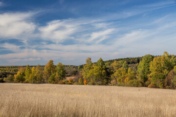 Fototapeta na wymiar Autumn landscape. Field and forest.blue sky with clouds