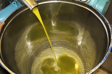 Greece, Attica, extra virgin olive oil extraction process in olive oil mill.