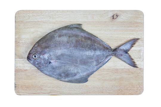 Black pomfret fish on a chopping block and topview food ingredients