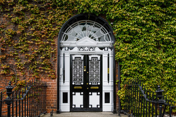 Colorful georgian doors in Dublin, Ireland. Historic doors in different colors painted as protest...