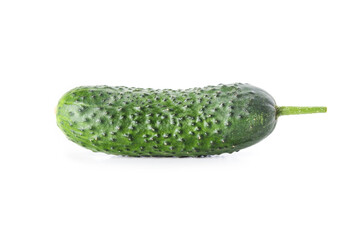 Fresh cucumber
