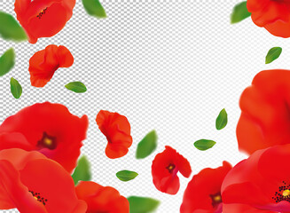 3D realistic red poppies with green leaf. Red poppies flower in motion. Wild red poppies background. Falling flower red poppies. Vector illustration