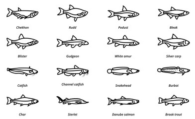 Fish linear icon. River fishing fish.