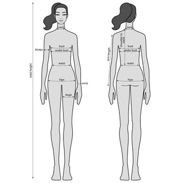 Woman body measurement chart. Female figure: front and back views. Vector.