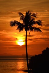 A mesmerizing sunrise with the sun over the sea and a palm tree in the foreground, intense and bright colours