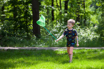 Boy Sitting Butterfly Net.