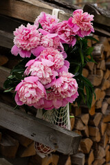 pink hydrangea flowers