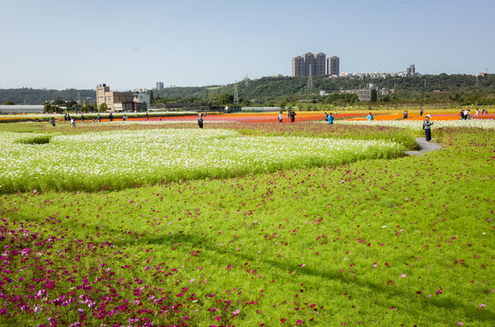 Daxi Event Of Taoyuan Flower Festival