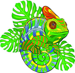green chameleon and palm leaf