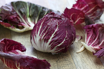 Fototapeta premium radicchio chioggia, italian fresh vegetable