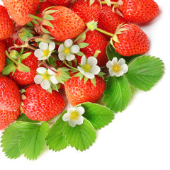 Strawberries Isolated on a white background.