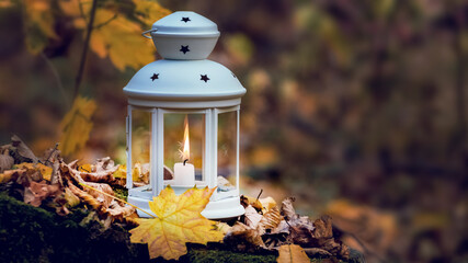 Lantern with a candle in the autumn forest among the fallen leaves in the evening