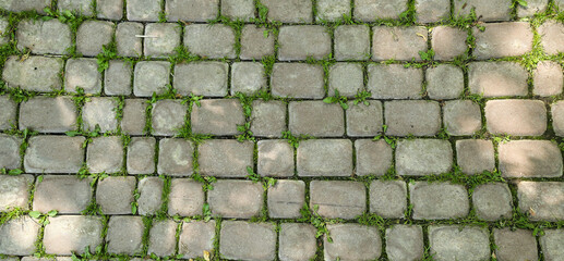 stone pavement with sprouted grass in a summer park top view