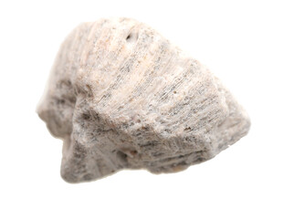 An isolated stone on white background