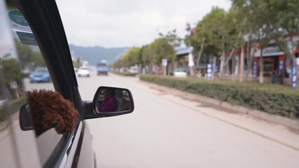 MS POV Dog looking through open car window / Lijiang, Yunnan, China