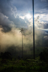 Atardecer con nieba en Valle de Cocora, Colombia