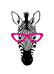Cute zebra in pink purple glasses. Hipster animal girl. Zebra face isolated on white background vector Illustration. - obrazy, fototapety, plakaty